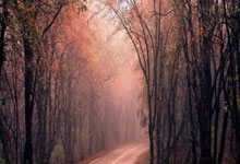 亚残运会观赛礼仪知多少?戳视频,一起了解央视新闻客户端.