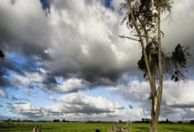 [国]迎战澳大利亚 中国U20国家队放眼四分之一决赛.